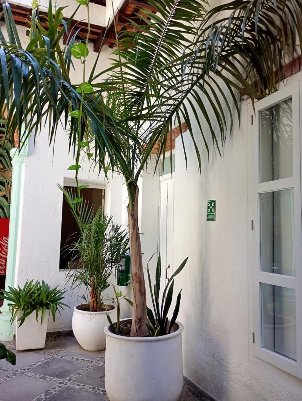 Casa Verde Hotel Santa Marta  Exteriör bild